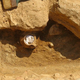 Imagen para el artículo titulado Esta pieza de cerámica escondía un pollo desmembrado y una maldición de 2000 años